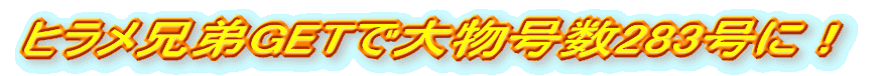 qZGETő啨283ɁI